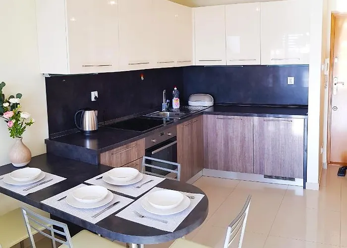 公寓 Sloneczny W Jantarze